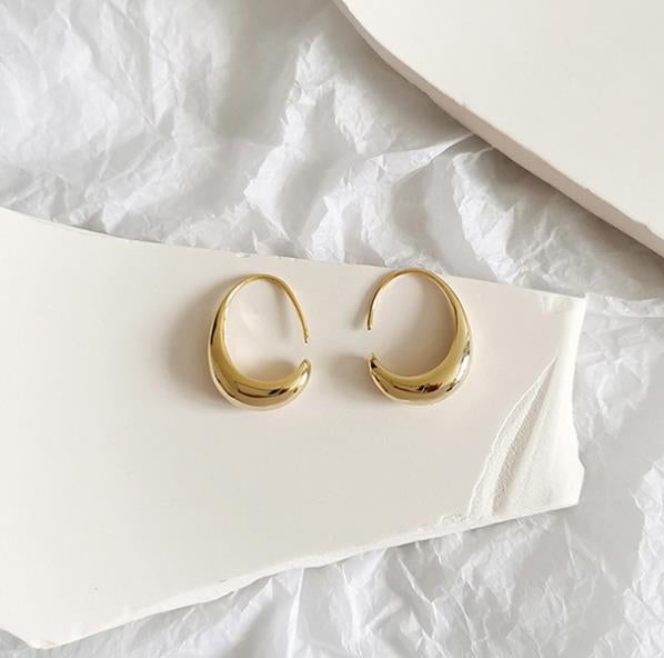 Elegant Gold and Silver Earrings