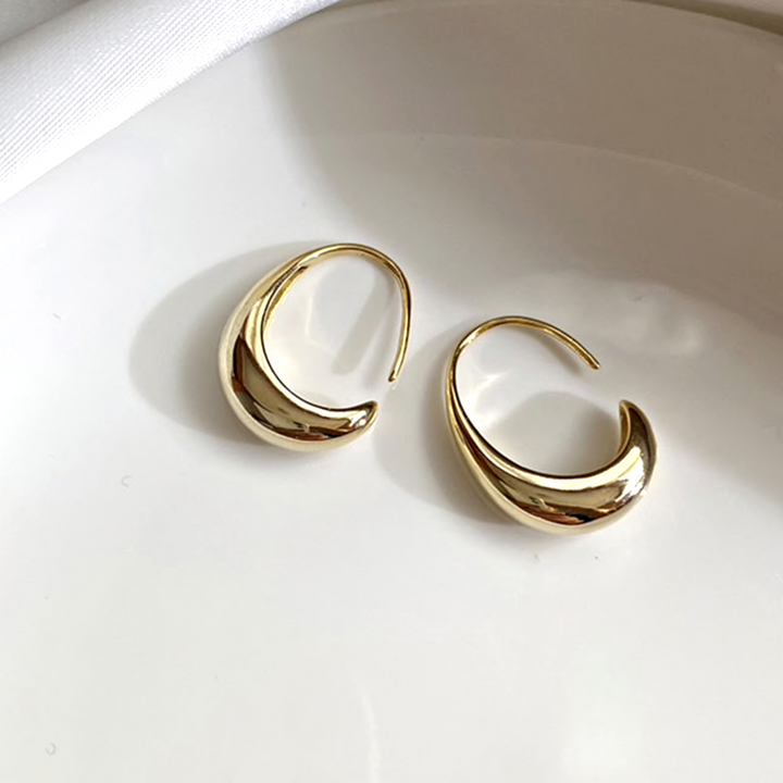 Elegant Gold and Silver Earrings